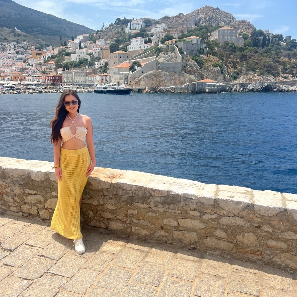 ALC yellow knitted maxi skirt